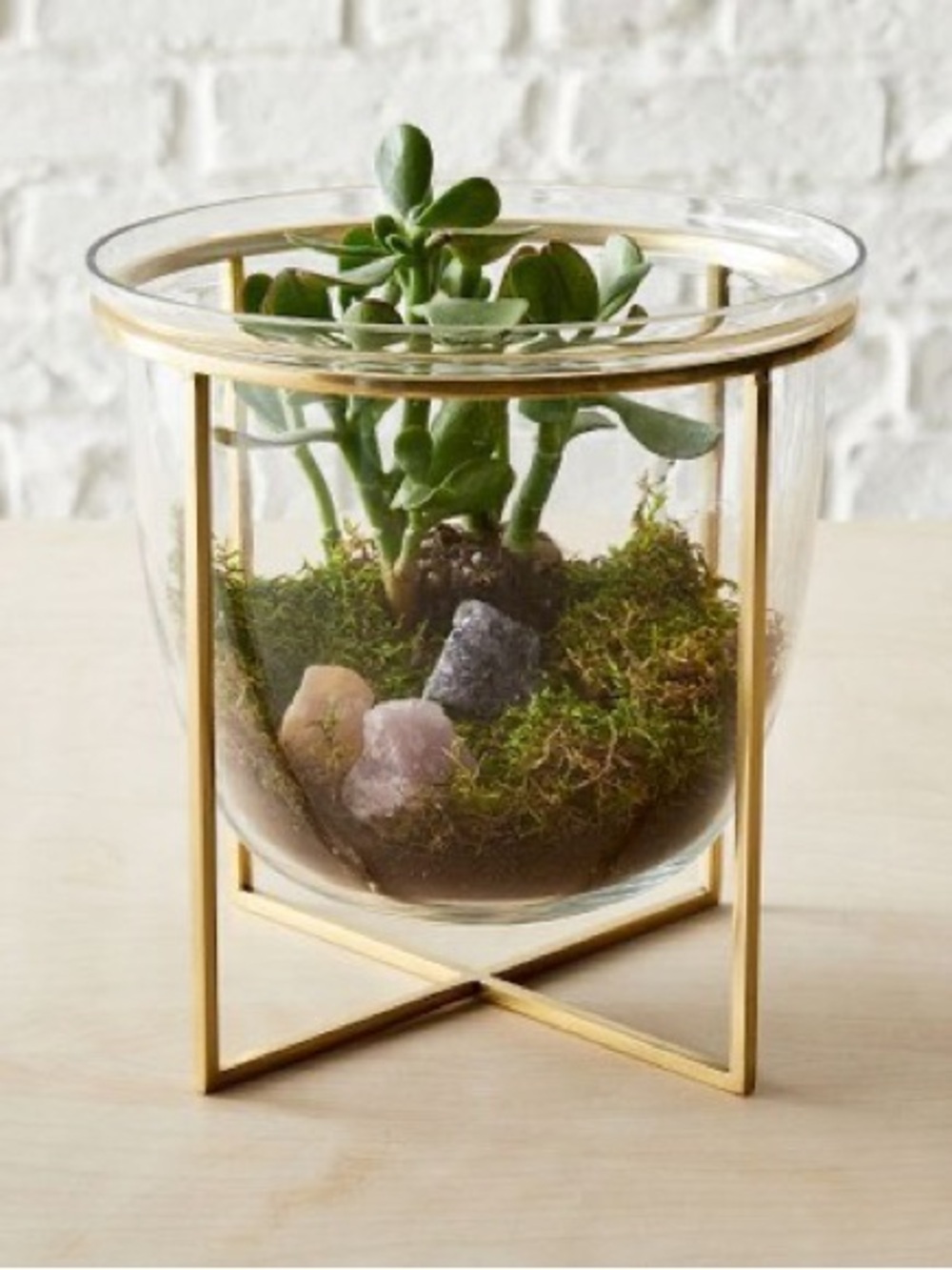 West Elm Eden Cross Base Terrarium